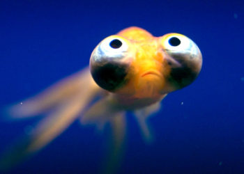 Netflix libera 4 temporada de La Casa de Papel e muito mais