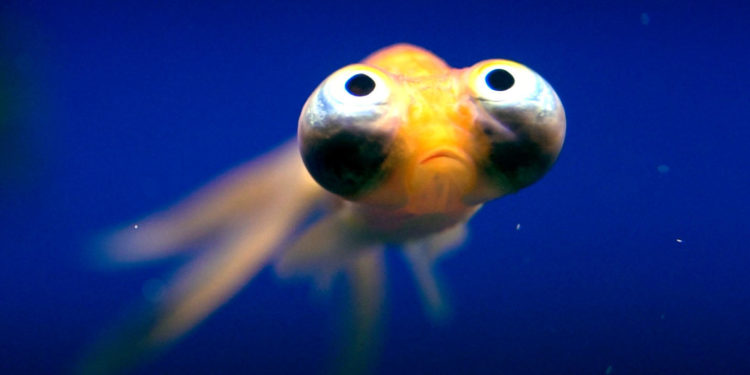 Netflix libera 4 temporada de La Casa de Papel e muito mais