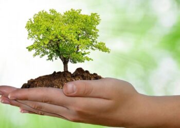 Fique atento: Como cuidar do futuro do planeta?