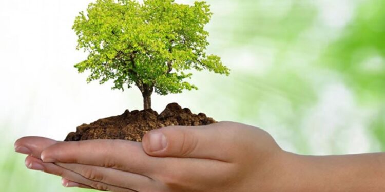 Fique atento: Como cuidar do futuro do planeta?