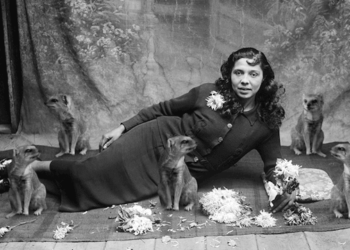 Artista transforma fotos antigas em gifs cômicos e surreais