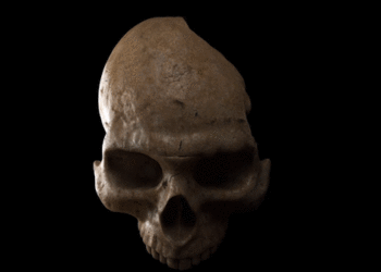 Compradores de The Dark Pictures Anthology: Little Hope Recebem Passe de Amigo e Curator’s Cut Gratuitamente para Little Hope